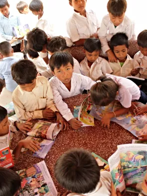 Celebrating Reading: Supporting the Foundations of Book Provision