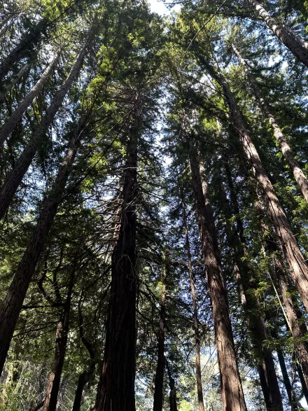 Being of Service and the Need for Self-Care